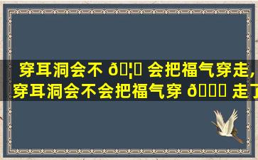 穿耳洞会不 🦅 会把福气穿走,穿耳洞会不会把福气穿 🐘 走了